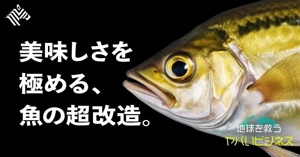 【世界初】日本人だから作れた、新しい魚の「発明ビジネス」