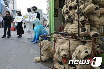 韓国の犬食、果たして終息するのか…社会的合意づくり、難航